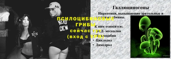 не бодяженный Дмитриев