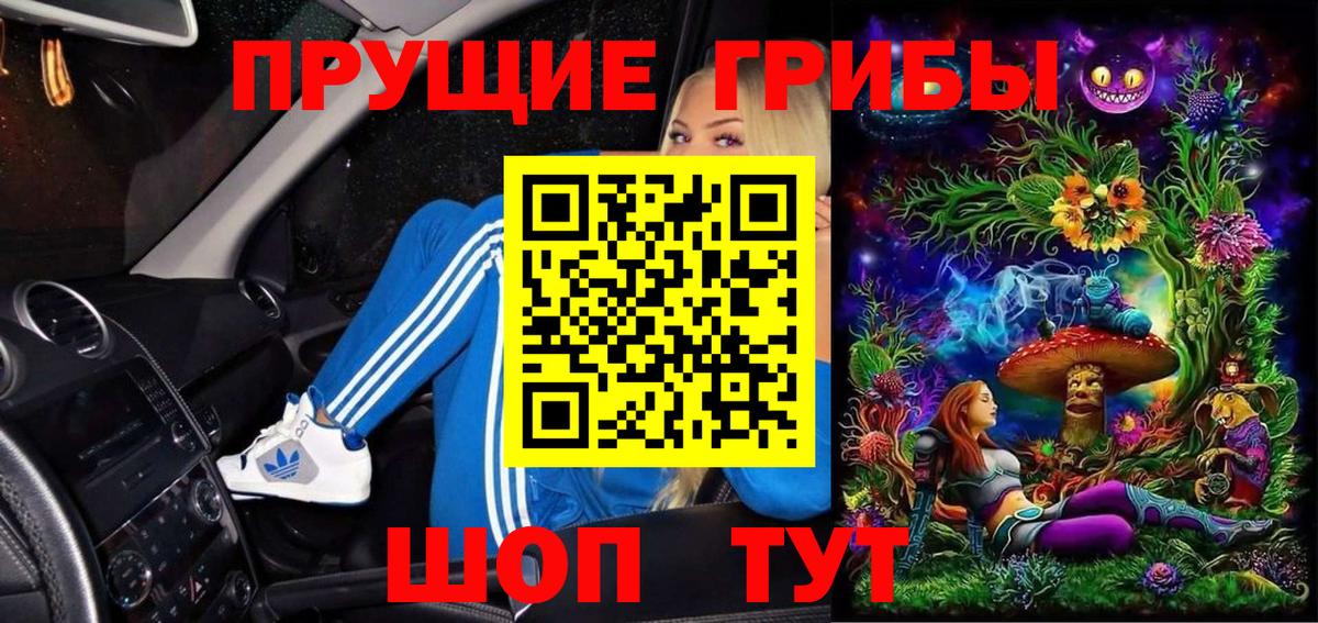 Ивантеевка  Псилоцибиновые грибы Cubensis  Вход с VPN 